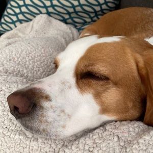 Meet your Posher, Colin